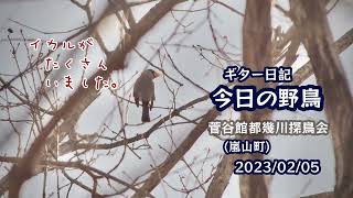 ギター日記　今日の野鳥　・　菅谷館都幾川探鳥会(嵐山町) 2023年2月5日