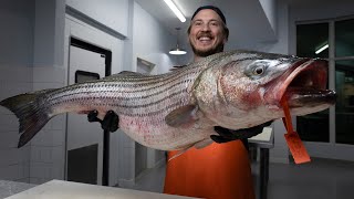 Over 5,000,000 of These Fish Are Caught Every Year