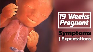 19 Weeks Pregnant | Pregnancy Week By Week Symptoms | The Voice Of Woman