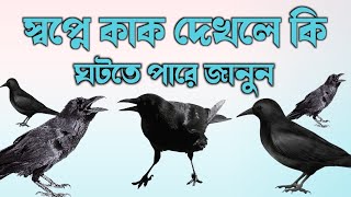 স্বপ্নে কাক দেখলে কি ঘটতে পারে জানুন | স্বপ্নের ব্যাখ্যা | shopner bekkha | dreams explaination |