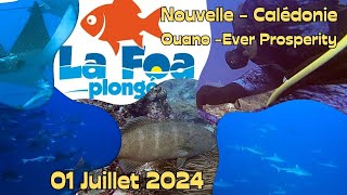 Plongées Nouvelle Calédonie - 01 Juillet 2024 Ouano- NOuvelle-Calédonie