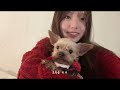 vlogmas 드디어 종강.. 이제 연말을 즐겨보자 🎄🎅