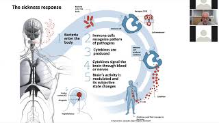 Studying Sickness in Humans: An Experimental Inflammation Model to Understand Feelings and Behaviors