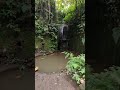 Shiva Linga Deep Inside The Jungle in Bali 🔱