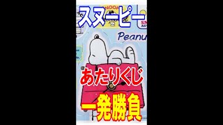 【サンリオ】スヌーピー当りくじ魂の一発勝負！【サンリオ当たりくじ】【スヌーピー】