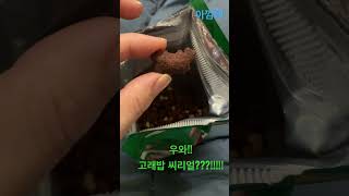 Maket O NATURE 오! 그래놀라 !! 초코고래밥????!!!!!고래밥과자가 시리얼로!!!! 냠냠!!!