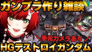 【#ガンプラ 】HGデストロイ完成耐久ガンプラ雑談！！！また大きいガンプラ買っちゃってさ・・・機動戦士ガンダムSEEDFREEDOM【#狼赫まかみ/個人Vtuber】