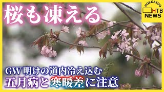 咲く桜に雪積もる　GW明けの道内冷え込む　札幌でも前日比10度低下　“五月病”と寒暖差にご注意を