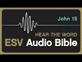 esv audio bible gospel of john chapter 15