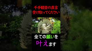 ※即効※この動画を偶然見た1分後、良いことが起こる！！千手観音の全ての願いが叶う○○とは？最後まで聞いて脳にインストールしてください#Shorts#Shorts