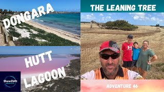 Dongara/Port Denison | The Leaning Tree | Pink Lake at Hutt Lagoon