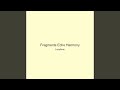 Fragments Echo Harmony