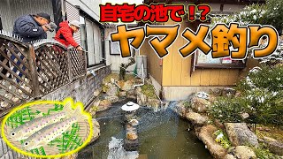 半年前に池に入れたヤマメを釣り上げて調査してみた！！