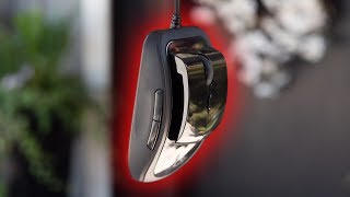 Should Your Computer Mouse Look Like This?