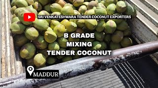 B grade tender coconuts (MIXING), #maddur #mandya #karnataka #banglore