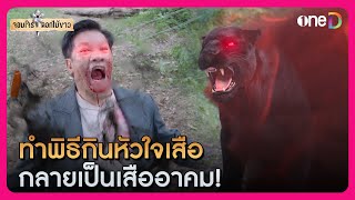 ทำพิธีกินหัวใจเสือ กลายร่างเป็นเสืออาคม | Highlight จอมโจรดอกไม้ขาว EP36 | oneD