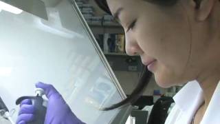 Exemplary grad students hone research skills at NAU