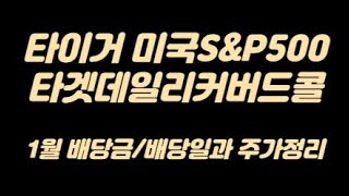 월배당ETF 타이거 미국S\u0026P500타겟데일리커버드콜 1월 배당금/배당일과 주가정리