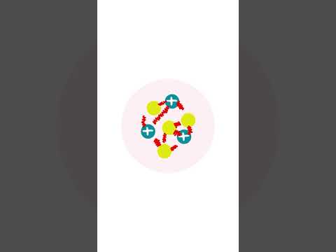 Which of the following best describes the strong nuclear force?