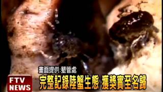 墾丁陸蟹紀錄片 獲國際三大獎－民視新聞