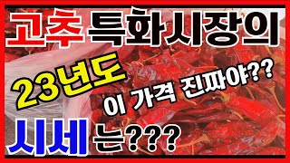 23년도 고추특화시장의 고추시세는??? 한번 알아볼까요???