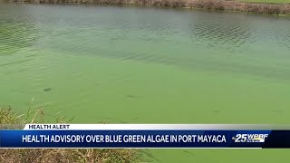 Lawmakers Call For Change Amid Toxic Algae Bloom