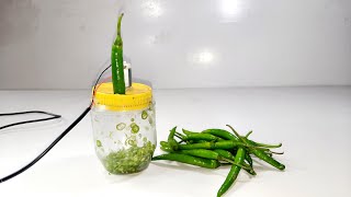 বাড়িতে তৈরি করুন মরিচ কাটার মেশিন // How to make a pepper cutting machine