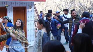 ये लगी रोहड़ू वालो की नाटी  | Beautiful Pahari Dance in Marriage at Rohru | DJPahari