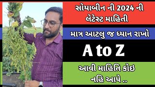 સોયાબીન પાક ની 2024 ની સંપૂર્ણ માહિતી અને મેળવો બમ્પર ઉત્પાદન | Soyabin crop letest information