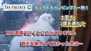 【犬連れ車中泊旅、雨の日どーする？】いつもお天気の日なんてないもんね・・・🥲
