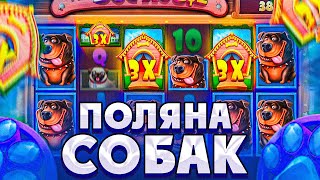 НАКОНЕЦ-ТО ДОЖАЛ СЛОТ И ПОЛУЧИЛ ЗАНОС В THE DOG HOUSE MEGAWAYS!!!///ЗАНОСЫ НЕДЕЛИ