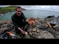 epic foraging adventure scallops crab big lobster and more