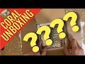 Unboxing Coral Frags from Kush Corals (Coral Haul)