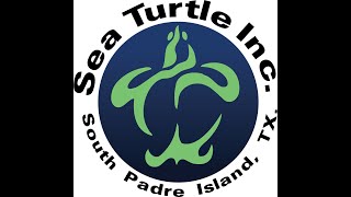 Let's Talk Turtles Live! Episode 79: Endangered Species Day