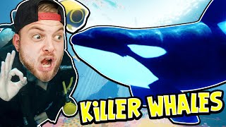 SquiddyPlays - ABZU! - KILLER WHALES! [2]