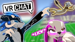 Furry VRChat in a Nutshell