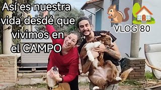 🐿️🏡NO PARA DE LLOVER‼️🌧️ESTRENAMOS NEVERA🎉 Vettonia en Celo🤭 Plantamos FRESAS en el HUERTO🍓 VLOG 80