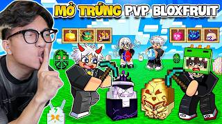 BI HUỲNH ĐẬP TRỨNG MỞ TRÁI ÁC QUỶ PVP CÙNG ĐỒNG BỌN TRONG BLOX FRUITS
