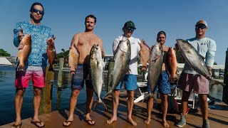 Spearfishing St. Pete Beach - Amberjack, Hogfish \u0026 Snapper