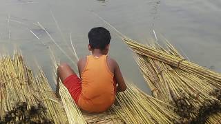 Jute manufacturing process