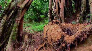 # 50 ប្រាសាទ ភ្នំដី Prasat Phnom Dei.tranquil scene temple location Puk District Siem Reap Cambodia.