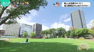 「金公園リニューアルとまちの変化」 めっちゃぎふわかるてれび