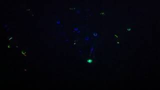 Glow In The Dark Ultimate Frisbee