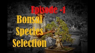 Episode 1 - Bonsai Basic Course - Species Selection for Bonsai Delhi India