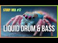 Focus Liquid Drum and Bass - Study Sessions #17 | Deep Work Mix | LiquidHour DnB