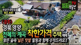 (급매) 경북 영양 천혜의 계곡 착한 가격 전원주택 매매 집기 모두 드리고 가며 펜션 수익도 가능한 영양부동산 - 발품부동산TV