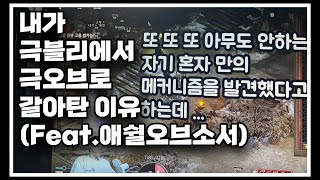 내가 극블리에서 온리오브로 갈아탄 이유 ㅣ소서리스 원소술사 극블리 블리오브 오블리 온리오브