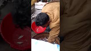 মাছ পাইকারি কত টাকা কেজি বিক্রি হলো #reels #vairalvideo #fishing