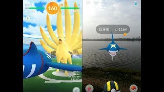 【Pokemon GO】神獸蓋歐卡VS九尾團體戰與收服第三代稀有寶可夢巨牙鯊! [精靈寶可夢GO]