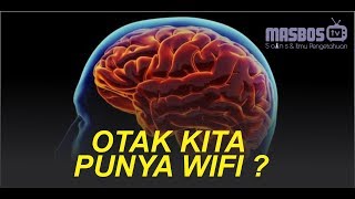 Wow! Ternyata Otak Kita Punya Semacam WiFi | masbosTV - Sains dan Ilmu Pengetahuan